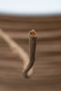 Close-Up Papierdraht Natur