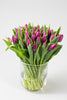 Frische Tulpen mit 50 Stück in Lila
