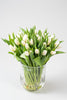 50 frische Tulpen