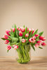 50 frische Tulpen