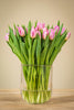 Frische Tulpen mit 50 Stück in Rosa