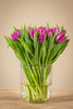 Frische Tulpen mit 50 Stück in Lila