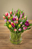 Frische Tulpen mit 50 Stück in Bunt