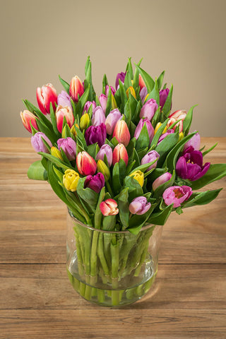 Frische Tulpen mit 50 Stück in Bunt