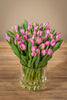 Frische Tulpen mit 50 Stück in Rosa