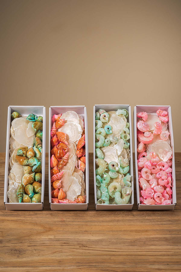 Flowers by Schouten Wir machen Deutschland schöner!