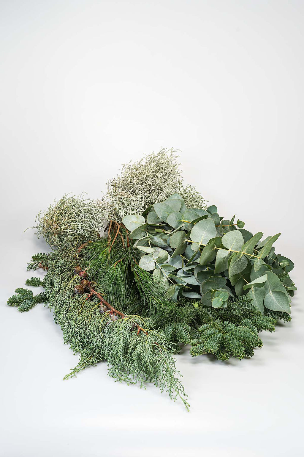 Marion's Weihnachtsgrün: Das DIY-Kit Produktfoto