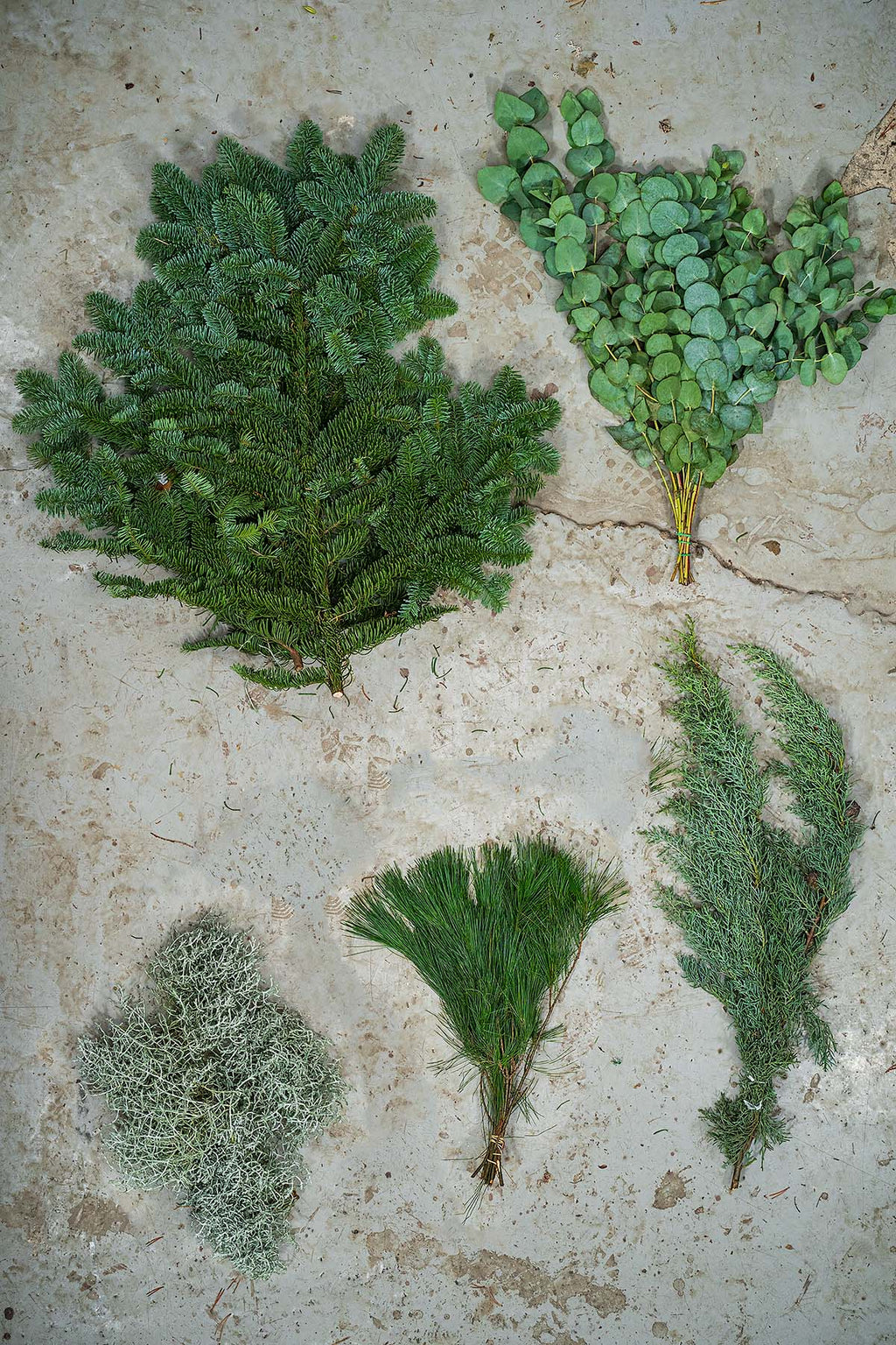 Marion's Weihnachtsgrün: Das DIY-Kit