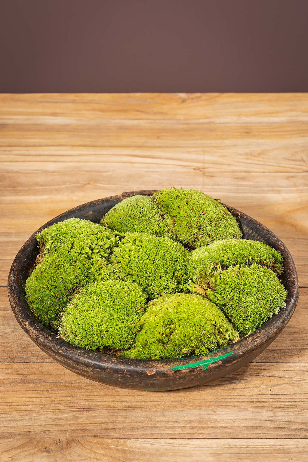 Deko mit frisches polstermoos