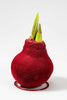 Rot Wachsamaryllis "Samt" Produktfoto