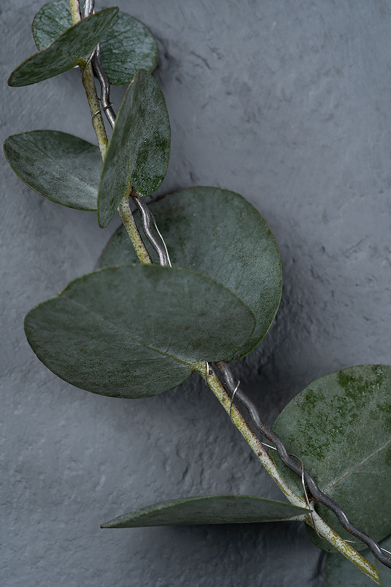 Kranzreifen Eukalyptus