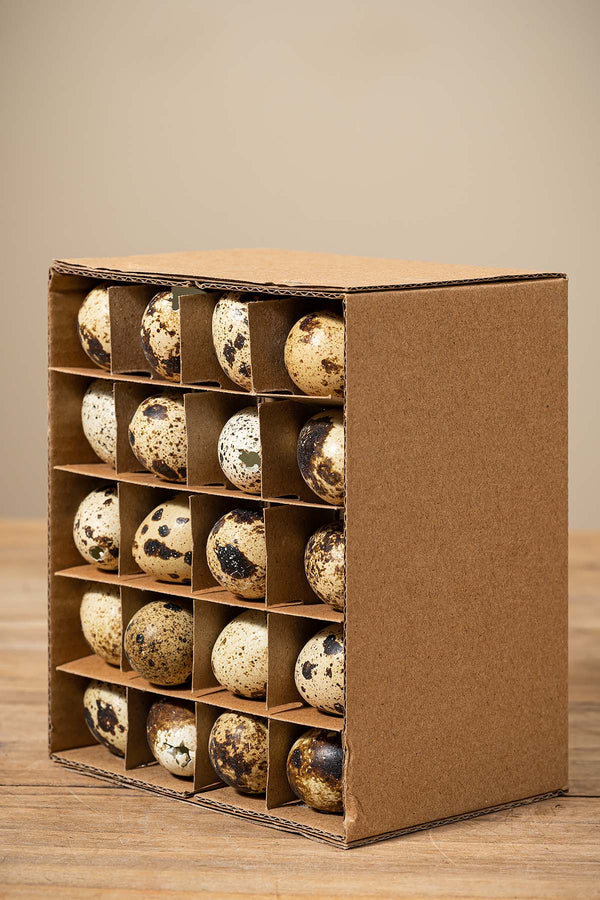 Wachteleier "Natürliche Big Pack"