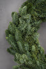 Kranz "Nobilis"