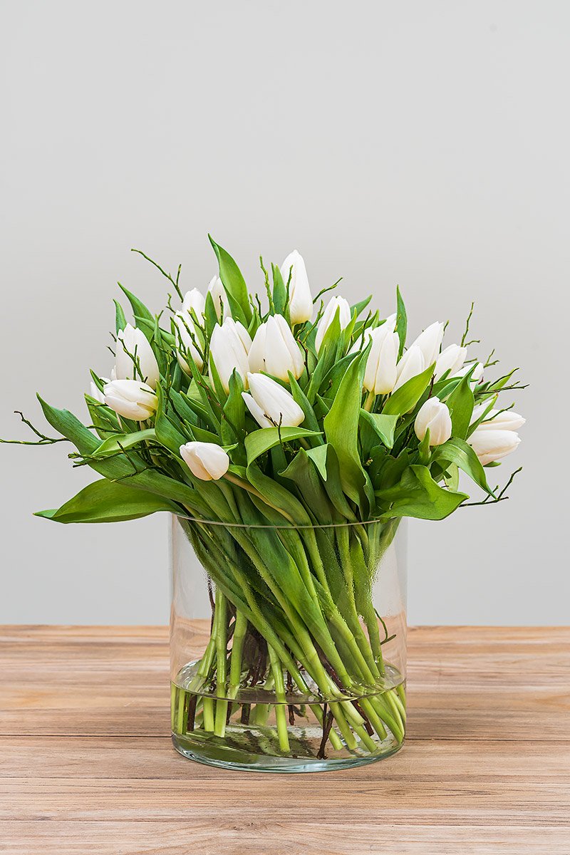 Weiße Frische Tulpen inkl. Versand