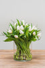 Weiße Frische Tulpen inkl. Versand