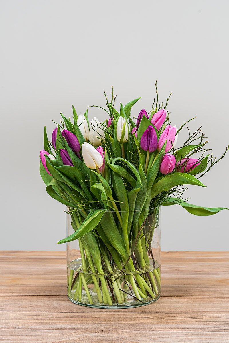 Rosa Lila Weiße Frische Tulpen inkl. Versand