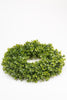 Künstlicher Kranz Buxus großer Kranz Produktfoto