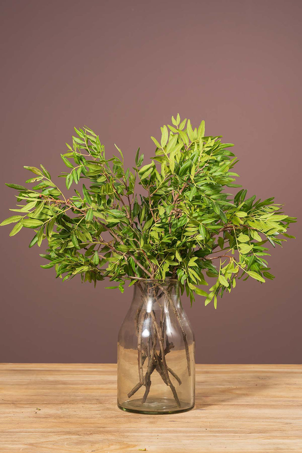 1 Bund Pistaziengrün 