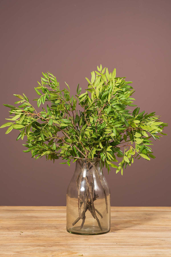 1 Bund Pistaziengrün 