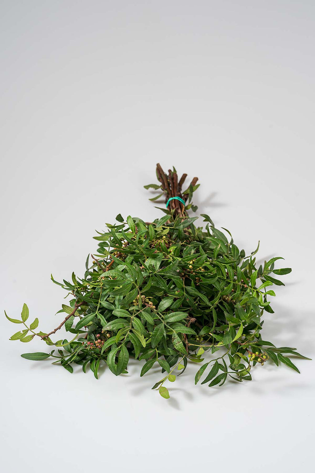 1 Bund Frisches Pistaziengrün Produktfoto