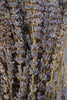 Getrockneter Lavendel Closeup