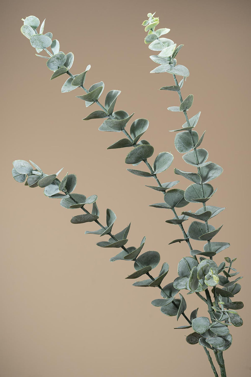 Grün Künstlicher Eukalyptus "Cinerea"
