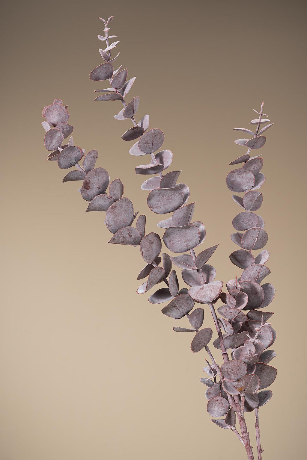 Violett Künstlicher Eukalyptus "Cinerea"