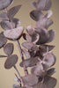 Violett Künstlicher Eukalyptus "Cinerea" Closeup