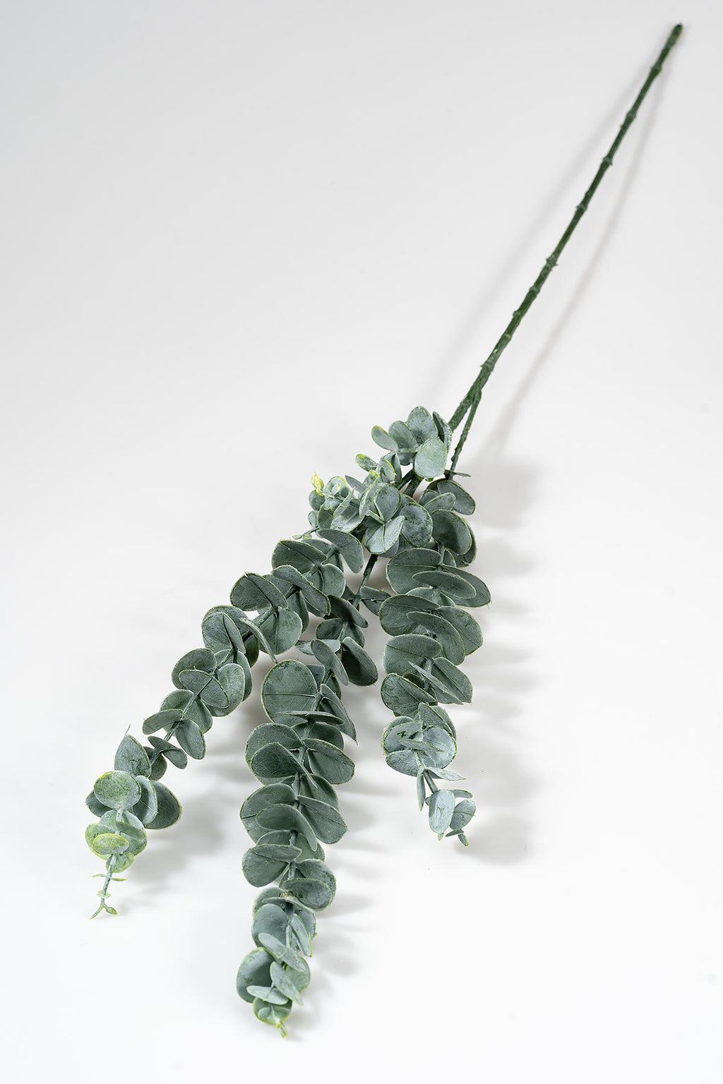 Grün Künstlicher Eukalyptus "Cinerea" produktfoto