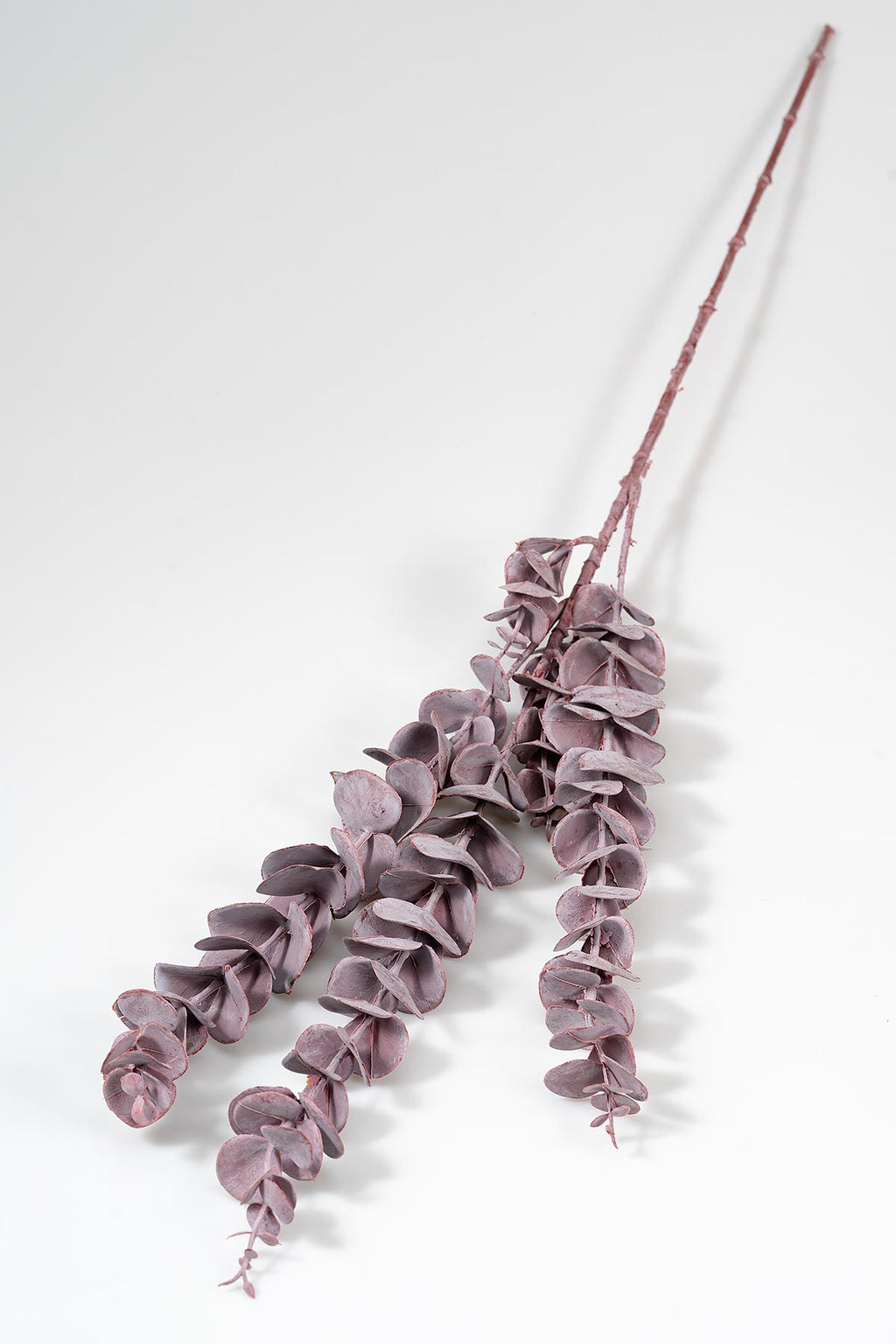 Violett Künstlicher Eukalyptus "Cinerea" Produktfoto