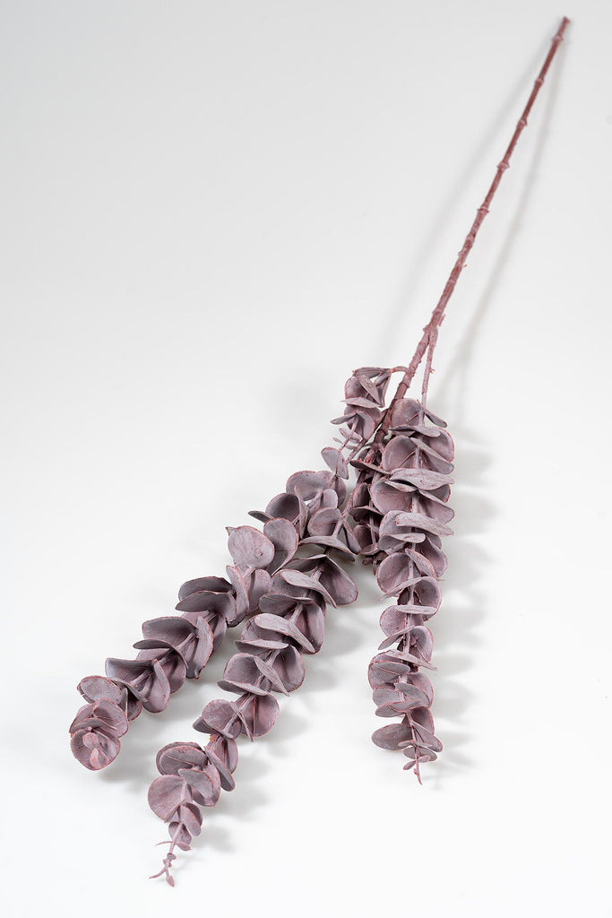 Violett Künstlicher Eukalyptus "Cinerea" Produktfoto