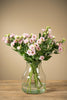 Frische Eustoma - inkl. Versand