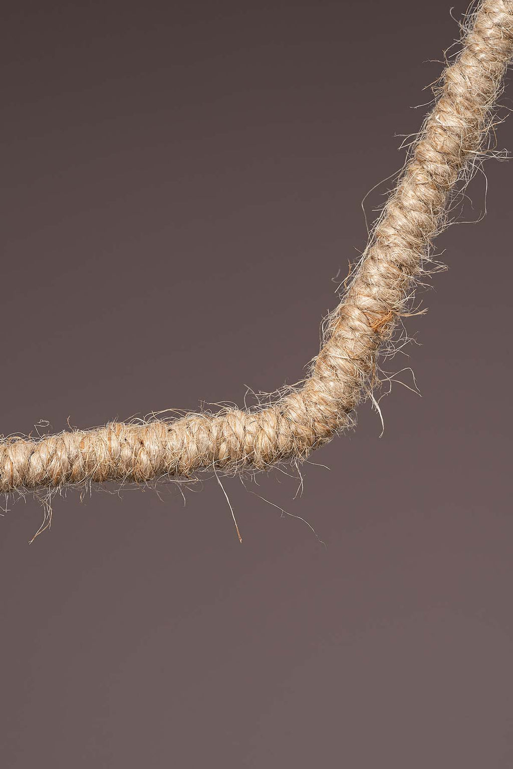 Jutestern "Juri" Closeup