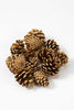 Gold Naturzapfen "Blue Pine" Produktfoto