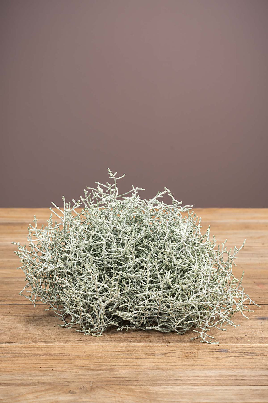 Frische Stacheldraht kranz Deko