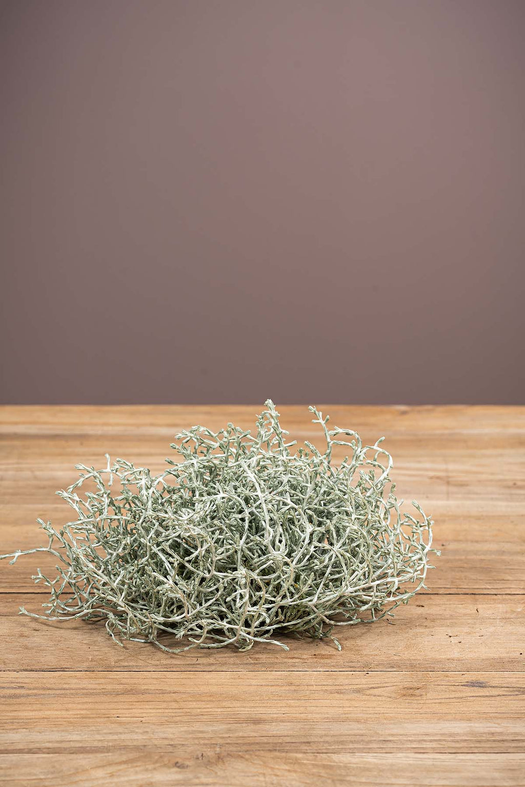 Stacheldraht zum basteln