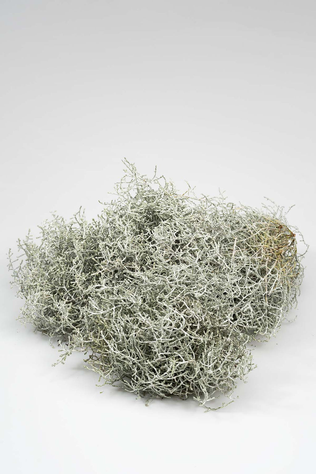 Stacheldraht Produktfoto