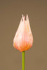 Kunsttulpe "Liliana" Pink / Geschlossene Blüte