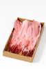 Federbox "Pink Spring" Produktfoto