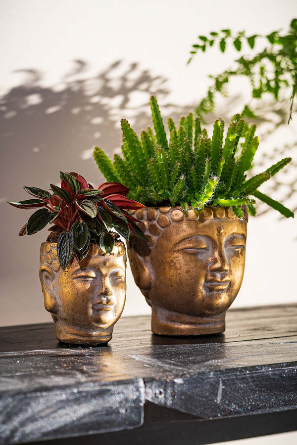 Blumentopf "Buddha" - Gold Edition