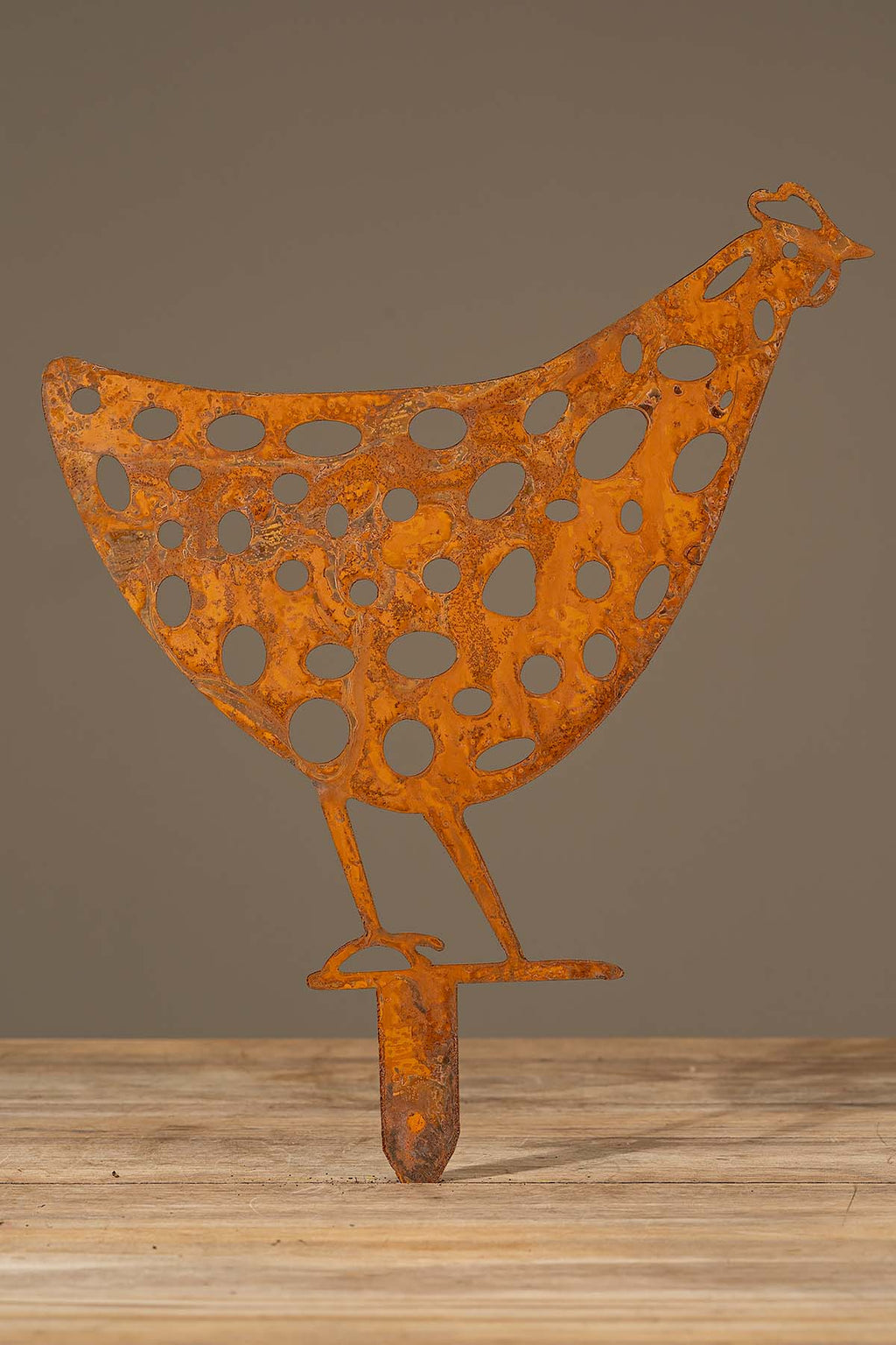 Rost Huhn "Helmut" Aufmerksam