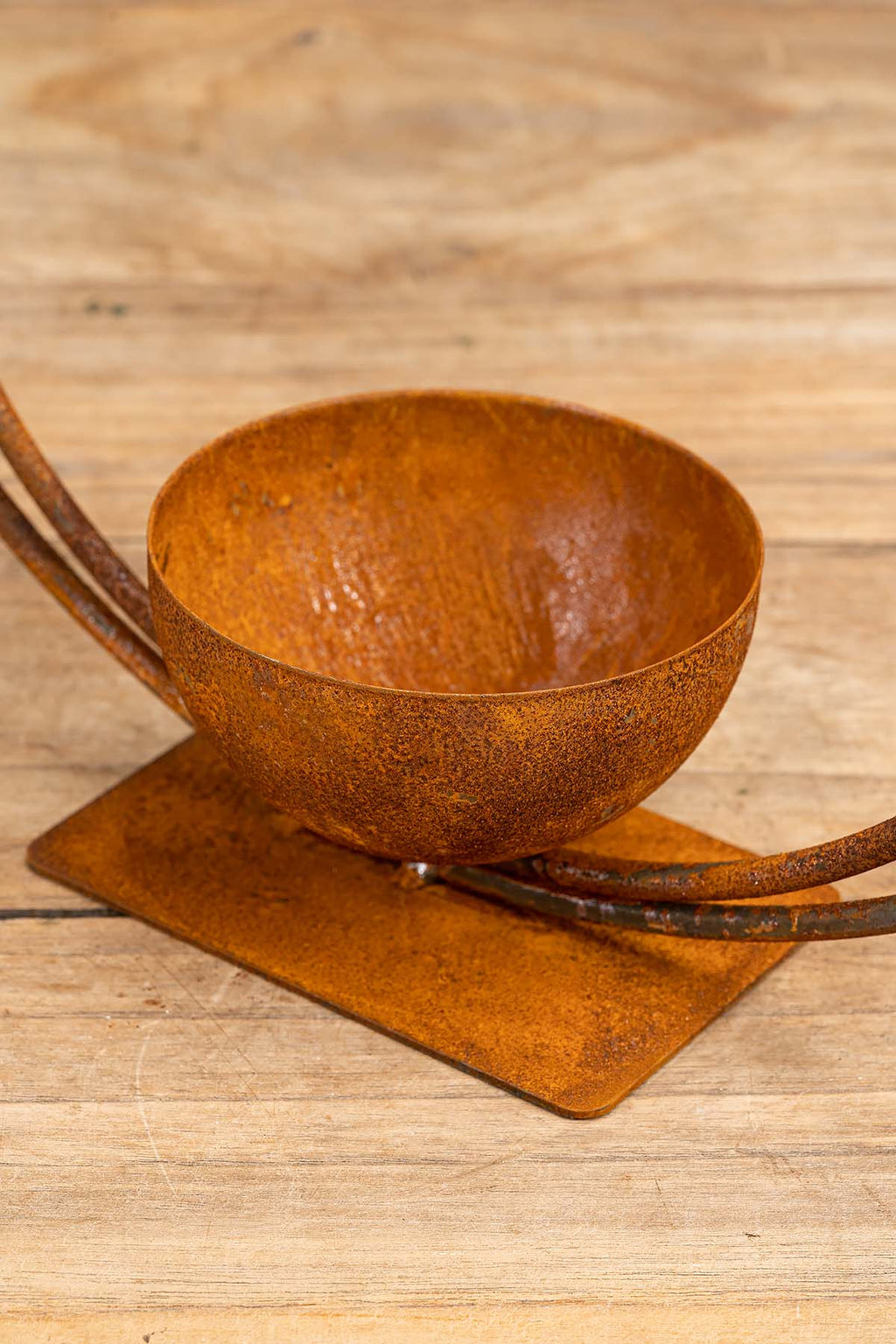 Rost-Schale "Radulf" Closeup