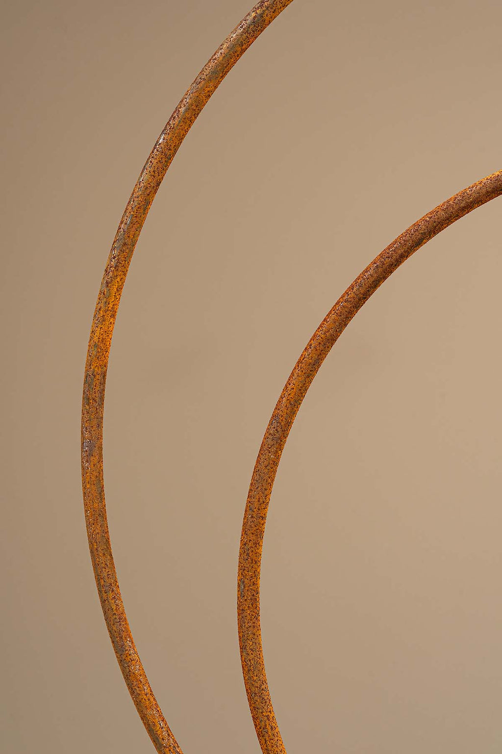Deko Rost-Schale "Radulf" Closeup
