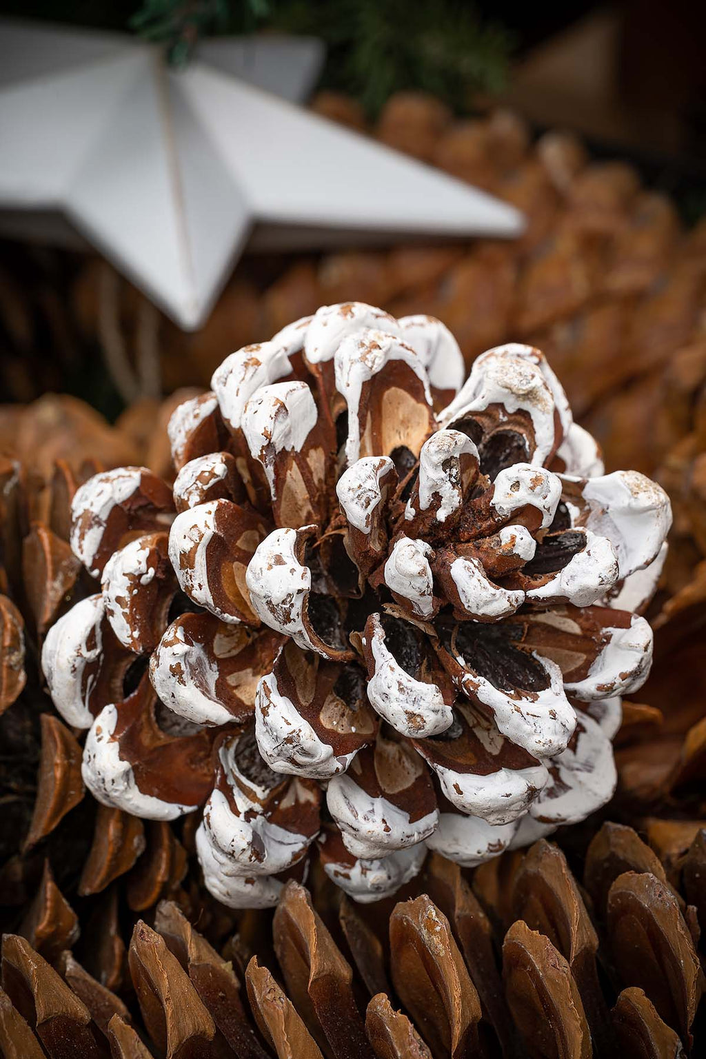 Dekozapfen "White-Wash"