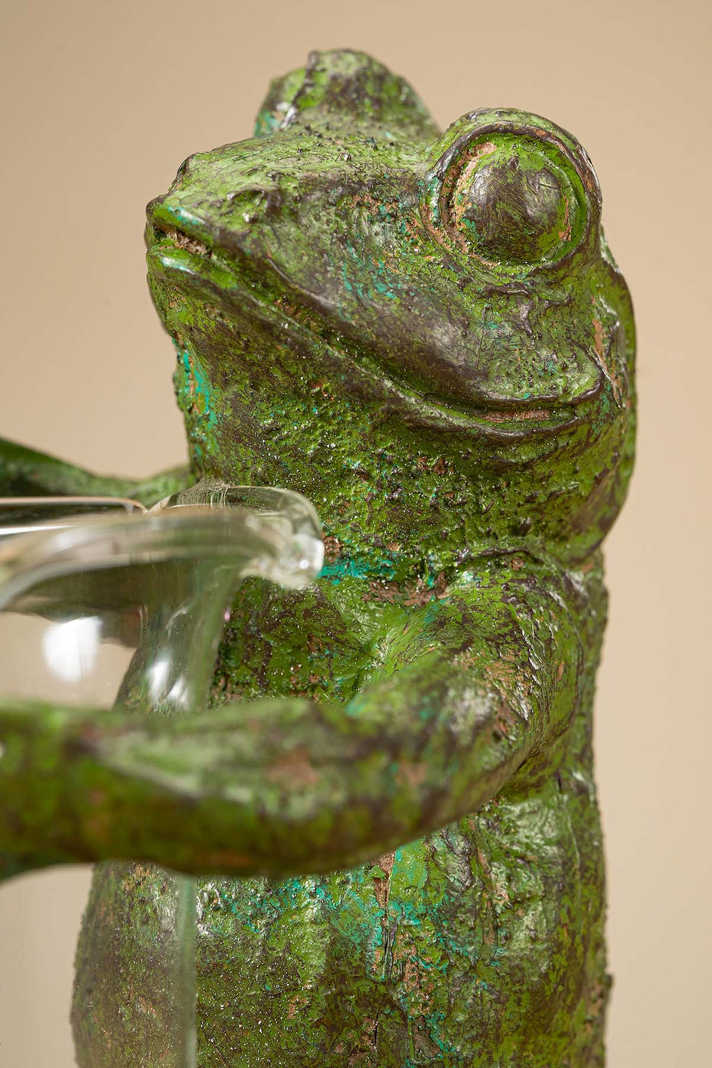 Frosch "Tantino" Closeup