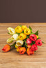 Kleine Kunsttulpen "Salina"
