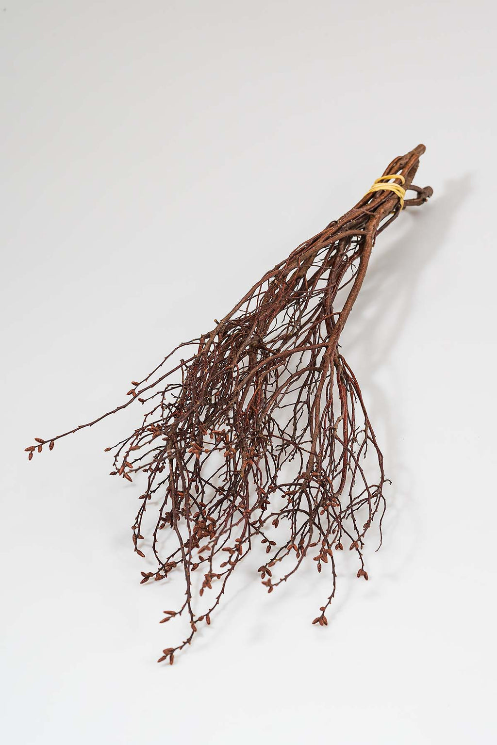 Gagelzweige Produktfoto