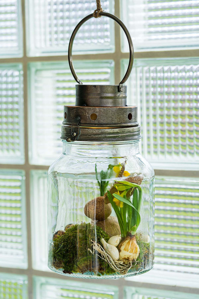 Terrarium "Thome"