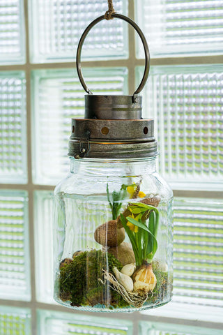 Terrarium "Thome"